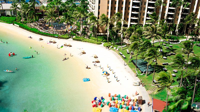 Tropical beach with sunbathers and palm trees.